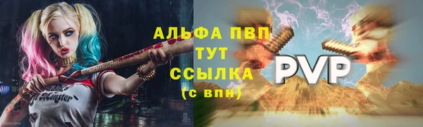 крисы Верхний Тагил