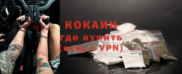 крисы Верхний Тагил
