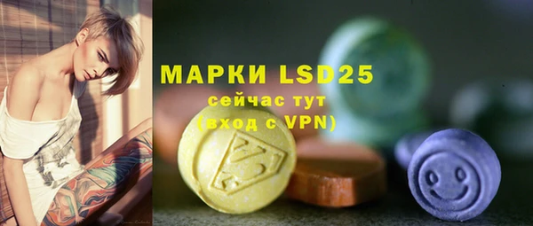 крисы Верхний Тагил