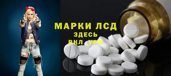 крисы Верхний Тагил