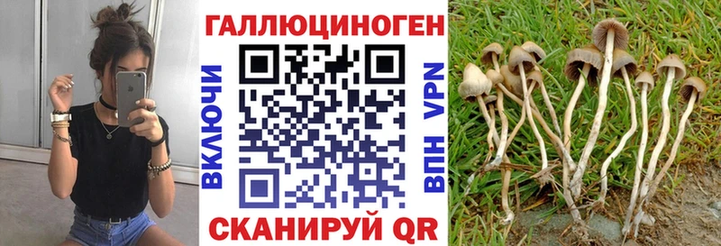 Галлюциногенные грибы MAGIC MUSHROOMS Карабаново